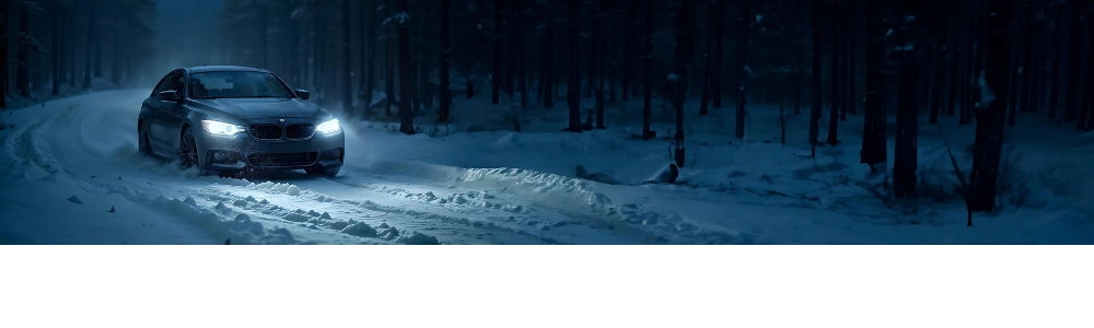 BMW fährt im Wald im Schnee